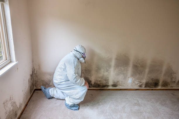 Water Damage Restoration in Rockville Centre, NY